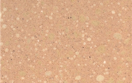ZYAS0506