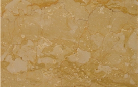 帝皇金